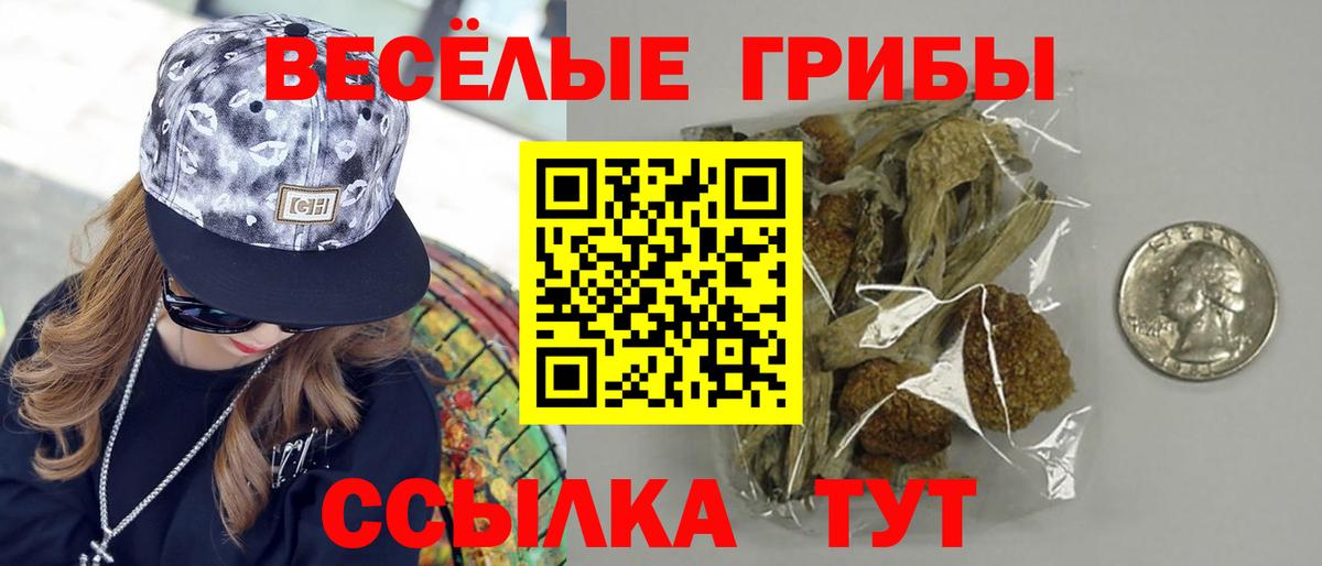 Луховицы  Галлюциногенные грибы ЛСД  Вход с VPN  где можно купить наркотик  Галлюциногенные грибы GOLDEN TEACHER 