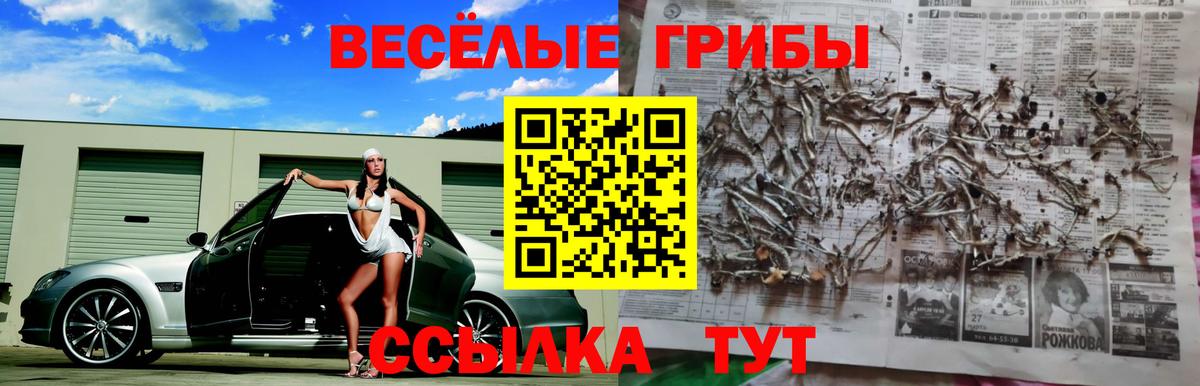 Галлюциногенные грибы ЛСД Луховицы